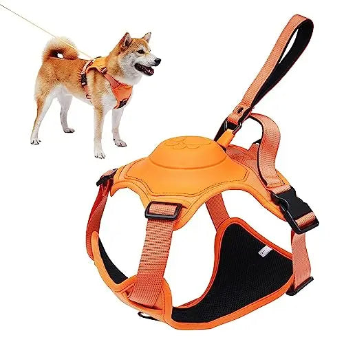 Dog Harness and Automatic Retractable Leash Kit