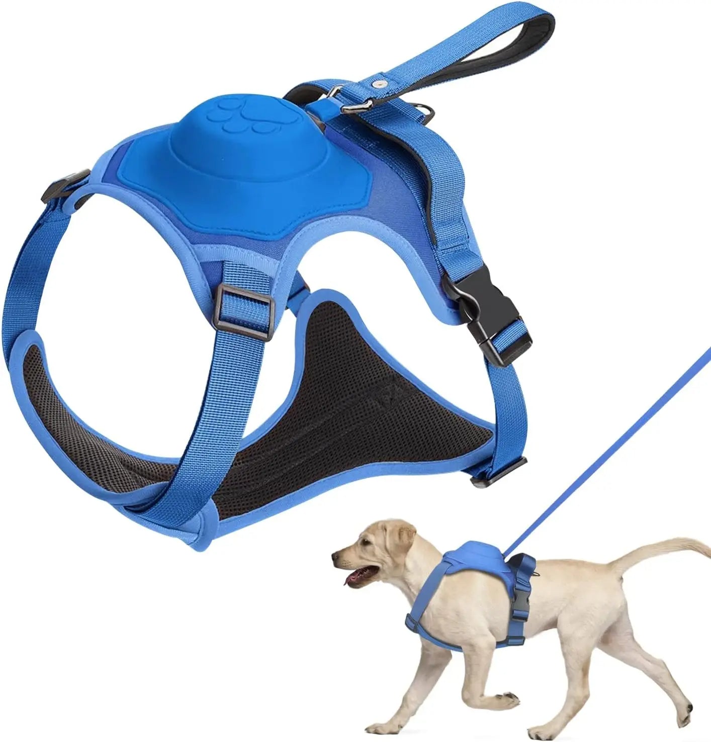 Dog Harness and Automatic Retractable Leash Kit